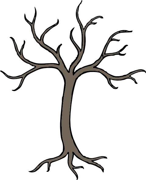 480x595 Leafless Tree Drawing Bare Tree Silhouette Stock Images Royalty
