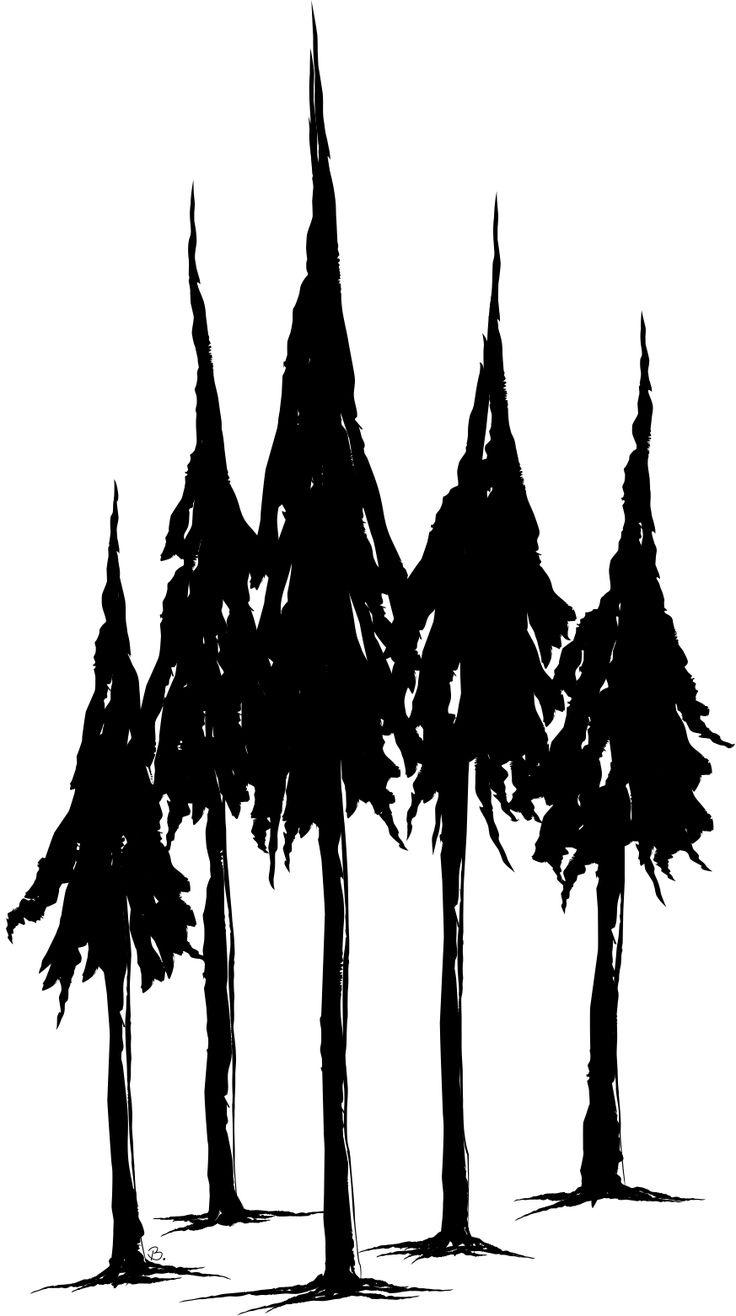 736x1316 Simple Pine Tree Drawing Best Ideas About Pine Tree Silhouette