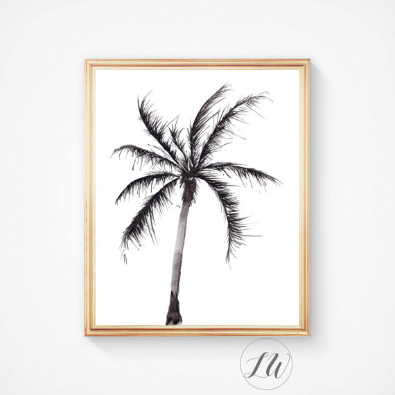 570x570 Watercolour Palm Tree. This Is Not A Silhouette, It Is A Painting