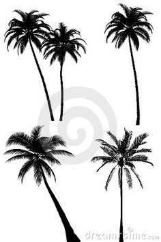 236x354 Eight Highly Detailed Palm Tree Silhouettes. Each Leaf Has Been