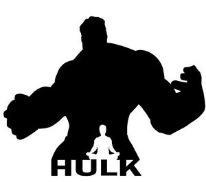 300x265 Vinyl Decal Sticker Car Truck Window