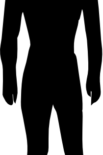 210x315 Human Body Silhouette Medical