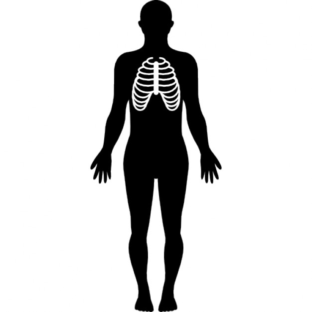 626x626 Human Body Silhouette With Focus On Respiratory System Icons