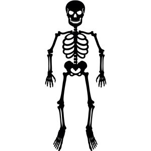 300x300 Skeleton Silhouette Design, Skeletons And Silhouettes