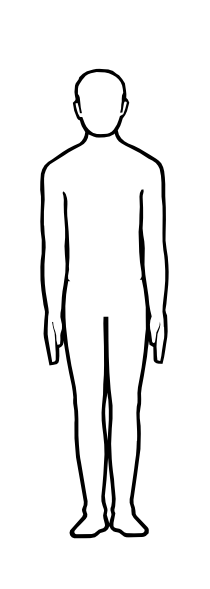 210x589 Human Body Outline Clipart