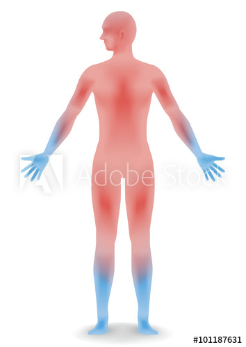 354x500 Human Body Silhouette And Sensitivity To Cold, Vector Illustration