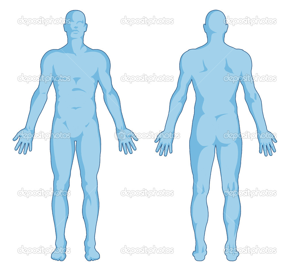 1024x944 Human Body Clipart Panda