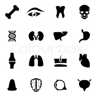 320x320 Human Body Medical Infographics With Person Silhouette And Organs