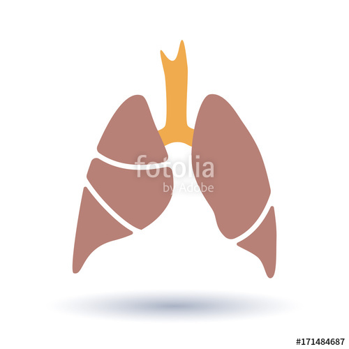 500x500 Vector Silhouette Medical Illustration Of Human Body Organ