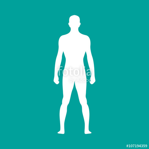 500x500 Human Body Outline. Vector Illustration Stock Image And Royalty