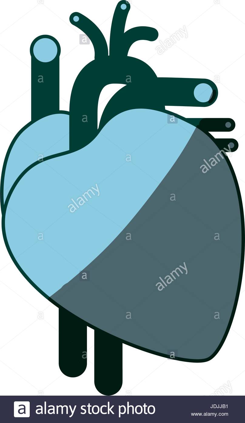 808x1390 Blue Color Shading Silhouette Heart System Human Body Stock Vector