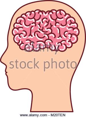 300x410 Human Face Brown Silhouette With Brain Inside In Dark Red Contour