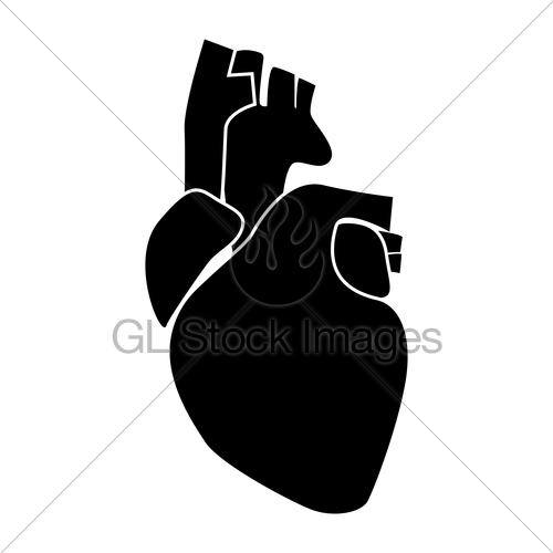500x500 Human Heart Black Color Icon Gl Stock Images
