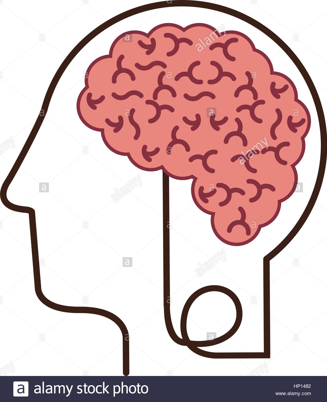 1129x1390 Silhouette Profile Human Head With Brain Vector Illustration Stock