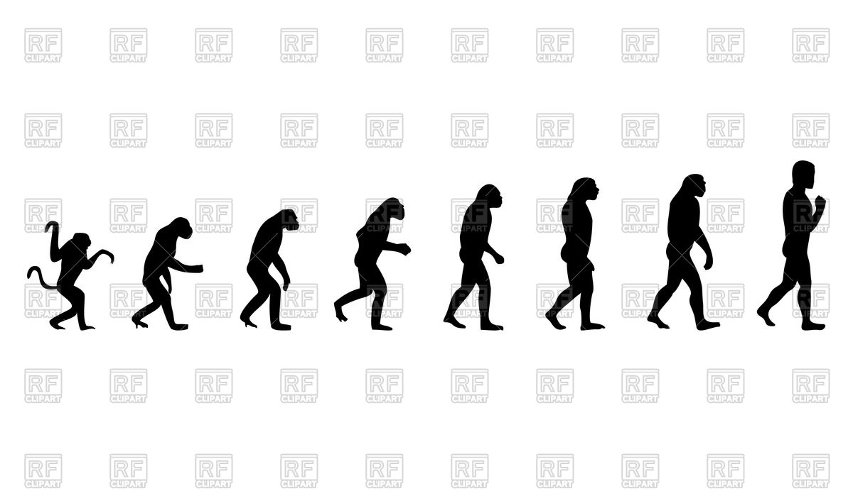 1200x692 Evolution From Monkey To Human Royalty Free Vector Clip Art Image