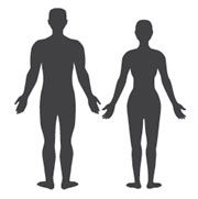 180x181 Human Silhouette Learn Science