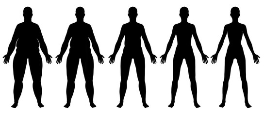 544x240 Obese To Skinny Female Silhouette Side View