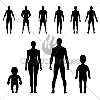 325x325 Full Length Front, Back Human Silhouette Set Gl Stock Images