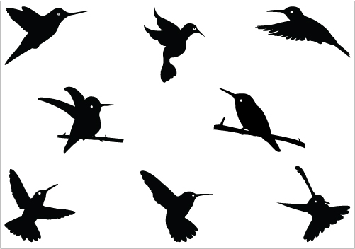 501x352 Hummingbird Clipart Black And White Clipart Image