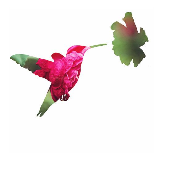570x570 Spring Hummingbird Floral Silhouette Photograph By Annadykema