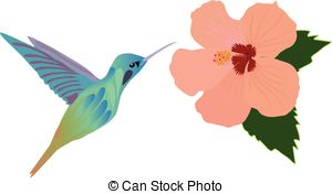 300x176 Vector Hummingbird Vector Clip Art
