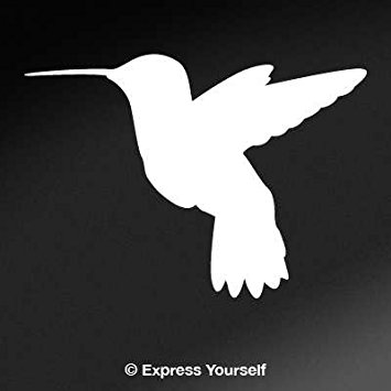 Hummingbird Silhouette