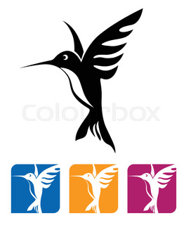 265x320 Tropical Flower Background With Hummingbird Stock Vector Colourbox