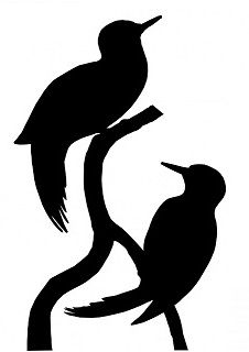 226x320 Hummingbird Silhouette Clipart Hummingbird Clipart
