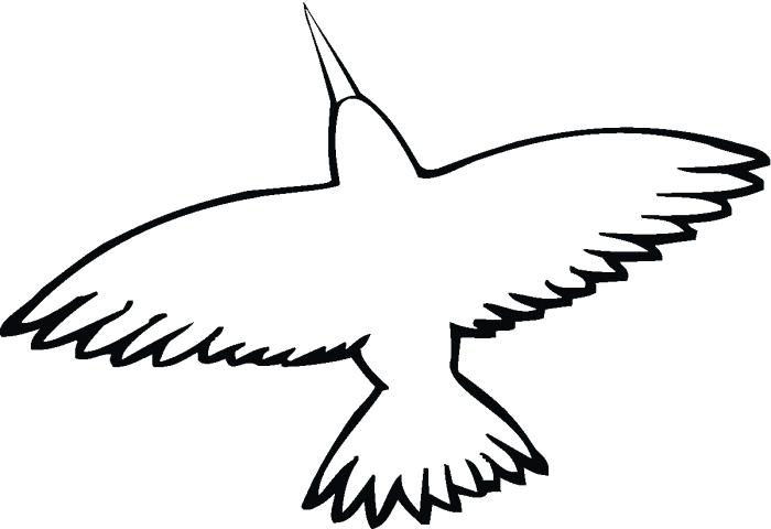 700x480 Hummingbird Outline