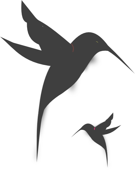 468x595 Small Black And White Hummingbird Tattoos Black Hummingbird