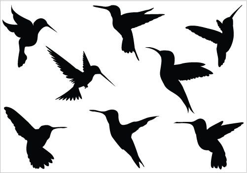 501x352 Hummingbird Clip Art Hummingbird Silhouette Clip Art Pack