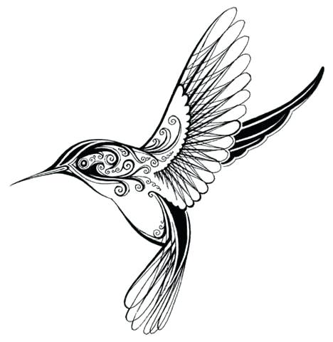 468x480 Hummingbird Outline
