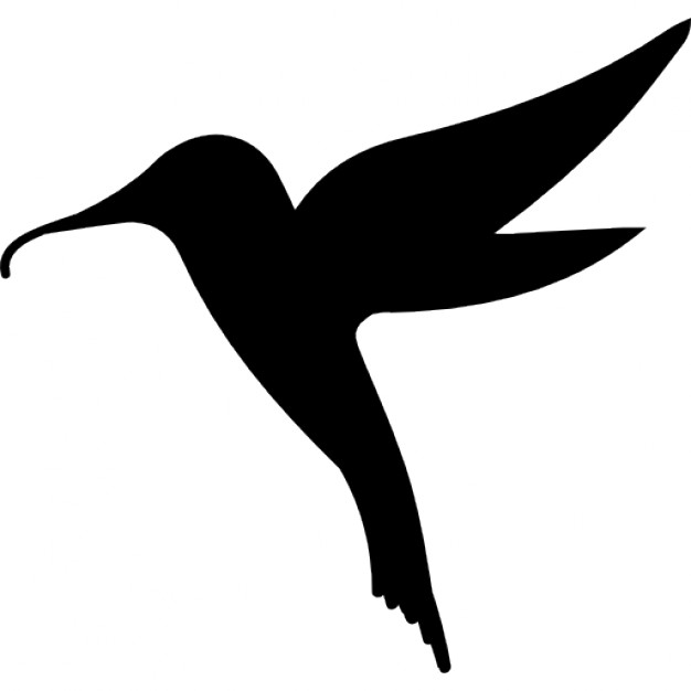 626x626 Hummingbird Bird Shape Icons Free Download