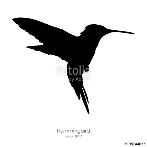 500x500 Paint Splatter Animals