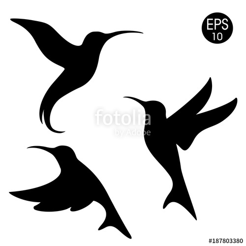 500x500 Vector Black Colibri Silhouette. Birds Set On White Background