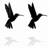 160x160 Hummingbird Illustration, Vector Draw Stock Image And Royalty