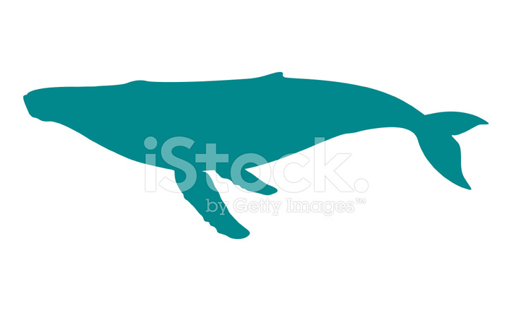 724x440 Humpback Whale Silhouette Stock Vector