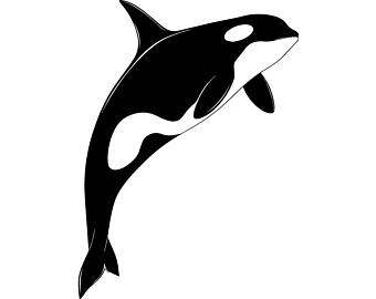 340x270 Humpback Whale Svg Etsy