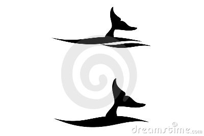 400x267 A Whale Tail Clipart Panda