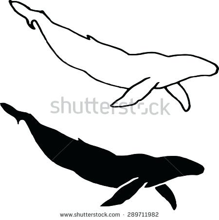 450x453 Outline Ink Tattoo And Outline Humpback Whale Outline Tattoo