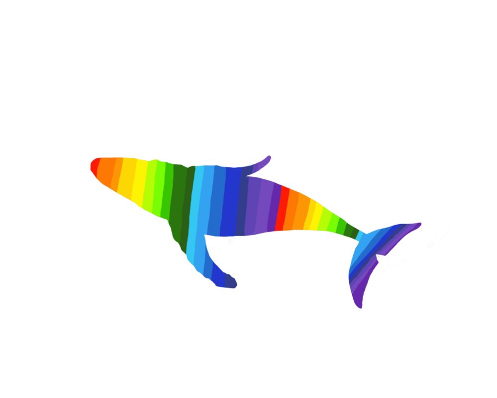 999x799 Rainbow Humpback Whale Silhouette By Balaenoptera