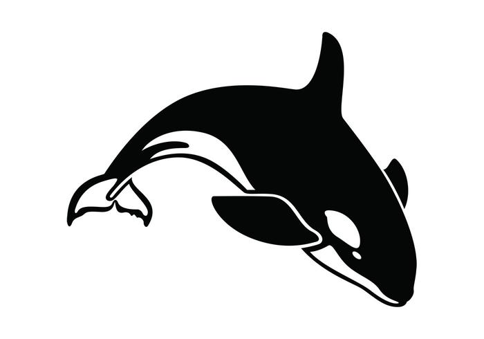 700x490 Whale Free Vector Art