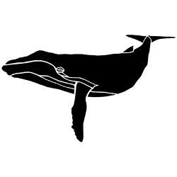 250x250 Humpback Whale Silhouette Shower Curtain Jpg Height 250 Amp Width