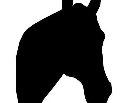 450x350 Smr Equestrian