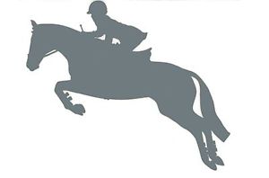 300x198 Sm Silver Hunter Jumper Decal Jumping Horse Equine English