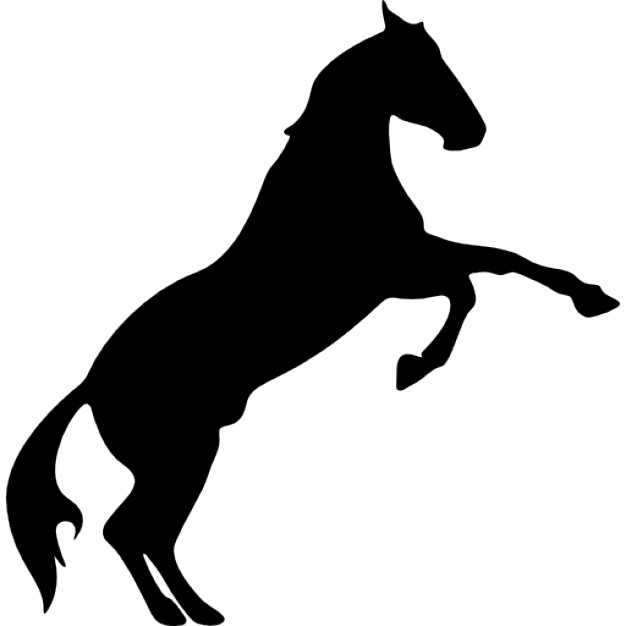 626x626 Horse Jumping Silhouette Pink