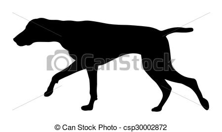 450x267 Hunting Dog. Vector Illustration Of German Short Hair Vectors