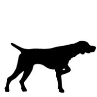 200x200 German Shorthaired Pointer Dog Breed Information Dog Silhouette
