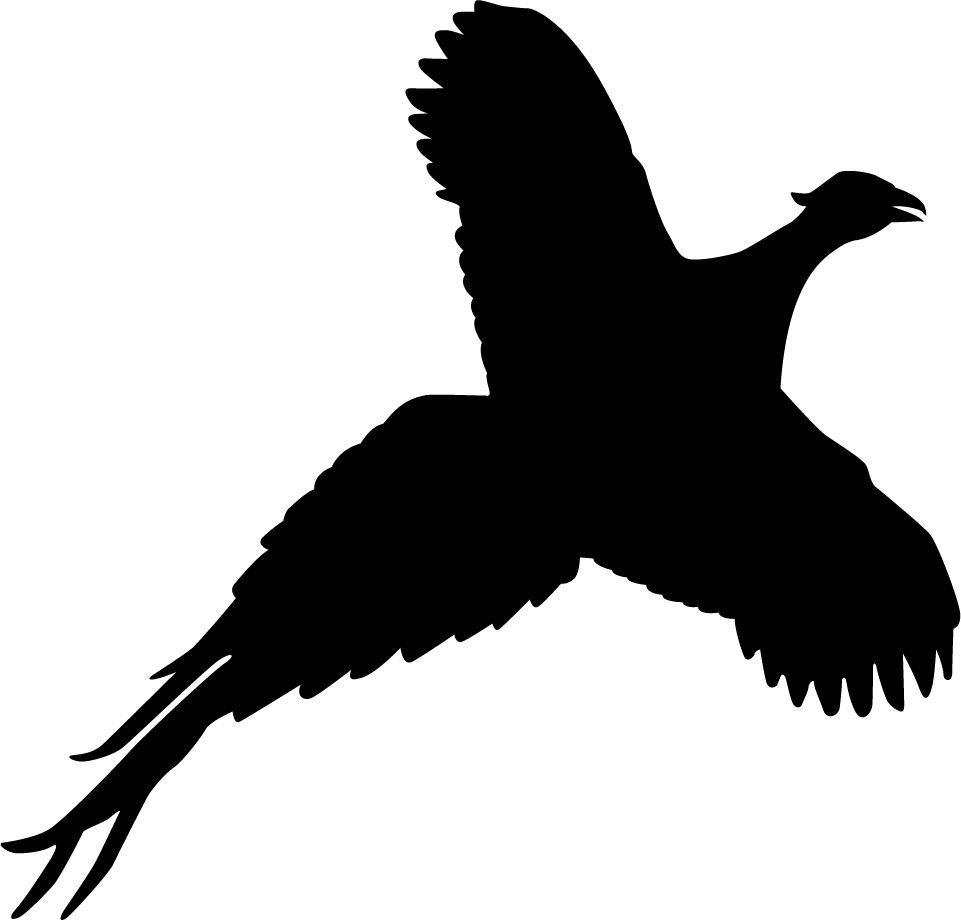961x920 Pheasant Silhouette