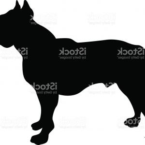 300x300 Hunting Dog Silhouette Vector Clipart Free